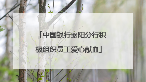 中国银行襄阳分行积极组织员工爱心献血